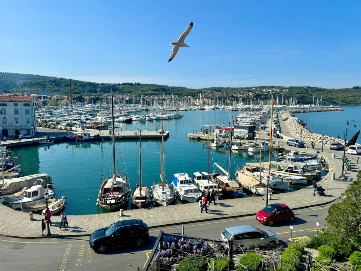 Izola