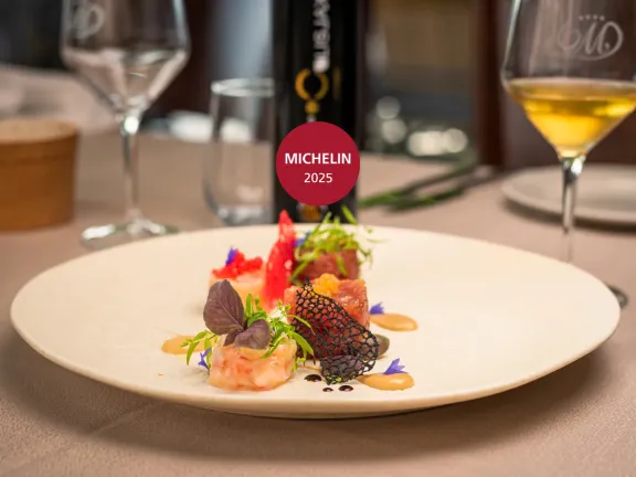 Michelin 2025